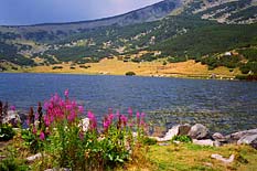 Bulgarian mountain